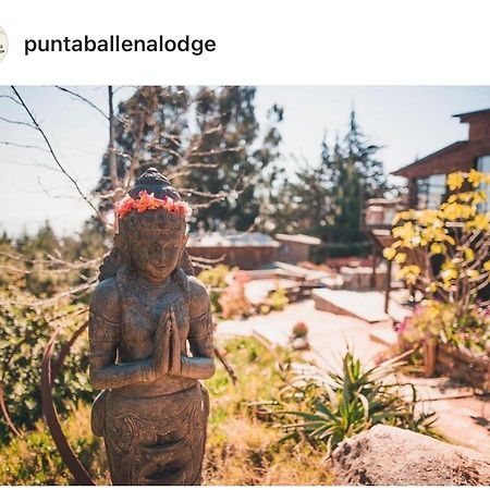 Punta Ballena Lodge ปิชิเลมู ภายนอก รูปภาพ